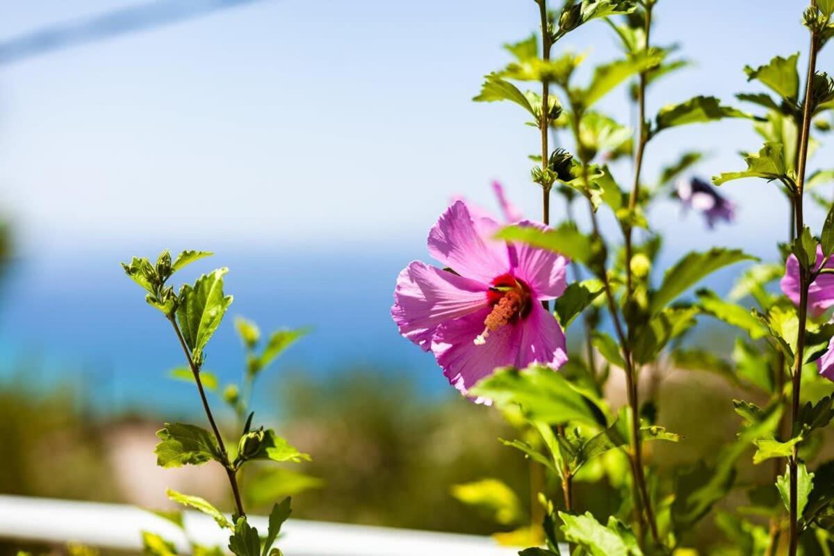 Aigli Summer Getaway - Seaview Lux Retreat Verga Kalamata Exterior foto